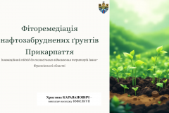 Fitoremediaciya-111.pptx