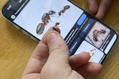 photo_3_2026-02-19_16-04-54