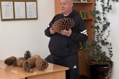 photo_5280967216390149114_y